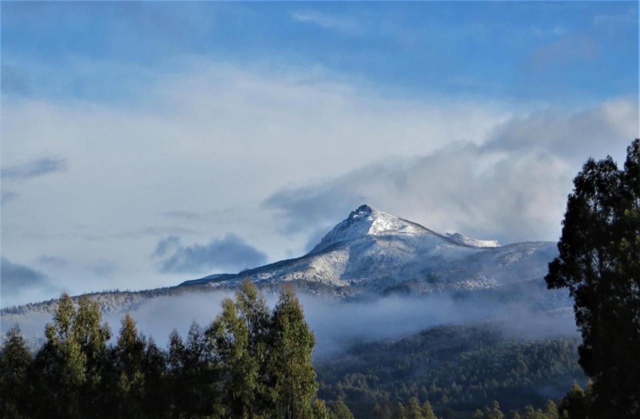 Maydena Chalet Dış mekan fotoğraf
